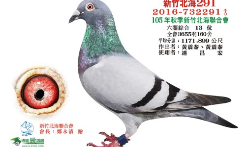 五禽气功的功效和作用是什么-五禽气功的功效和作用及禁忌专区_气功五禽式专区_五禽气功的功效和作用网